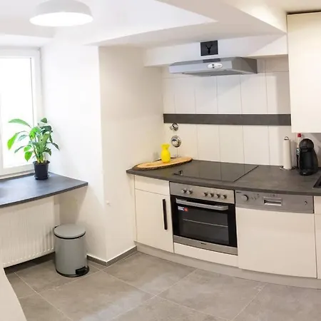 Modern Living In A Historical Surrounding * Hallein